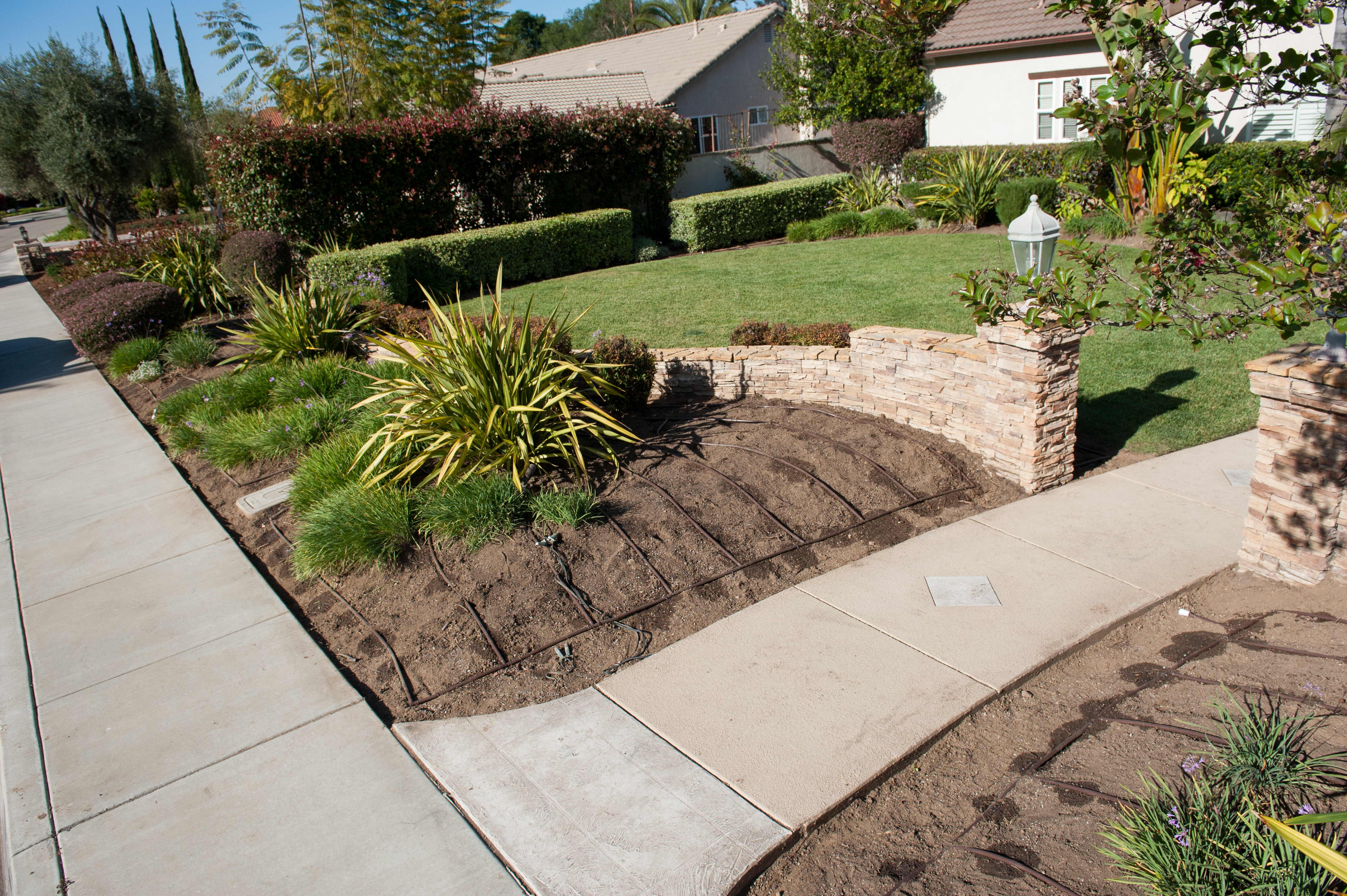 Mi is az a csepegtető öntözés?